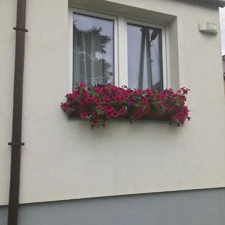 Noclegi Zator 자토르