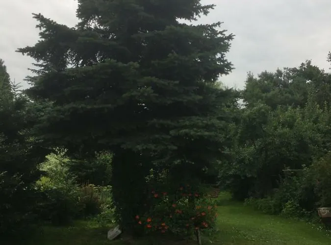 Noclegi Zator Privatunterkunft *